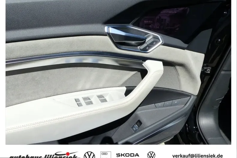 Audi e-tron din 2022 cu 67.840 km - oferta AUD261337 - foto 16