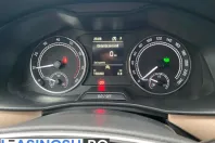 Skoda Scala din 2022 cu 158.489 km - oferta SKO262489 - foto 17