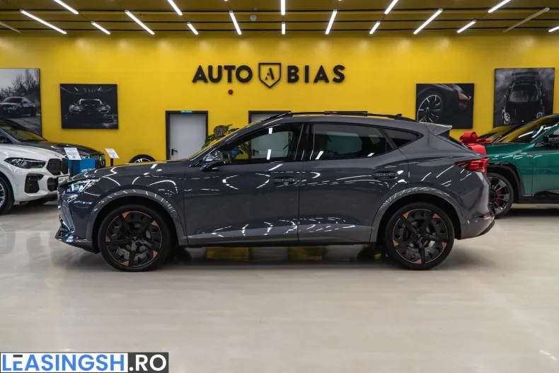 Cupra Formentor din 2021 cu 100.000 km - oferta CUP263096 - foto 16