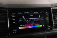 Skoda Kodiaq din 2022 cu 122.867 km - oferta SKO263406 - foto 20