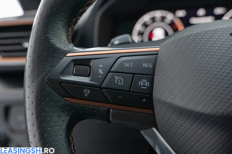 Cupra Formentor din 2023 cu 65.241 km - oferta CUP264022 - foto 19