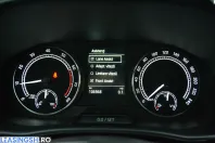 Skoda Fabia din 2022 cu 106.968 km - oferta SKO266132 - foto 13