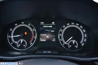 Skoda Fabia din 2022 cu 106.968 km - oferta SKO266132 - foto 14