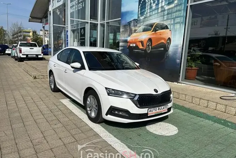 Skoda Octavia din 2020 cu 163.000 km - oferta SKO92954 - foto 1