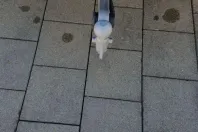 Mercedes-Benz 450 din 2022 cu 18.138 km - oferta MER97033 - foto 12