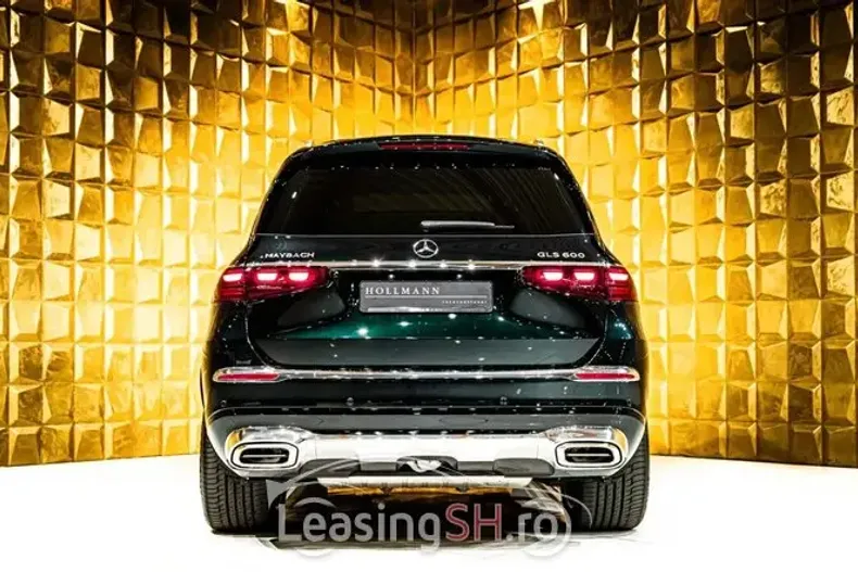 Mercedes-Benz 600 din 2025 cu 50 km - oferta MER96673 - foto 19