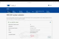 Mercedes-Benz 300 din 2024 cu 36.500 km - oferta MER99122 - foto 25